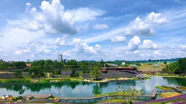 赞！助力绿色中国，tyc5997太阳集团喜获“2018年度可持续发展贡献奖”