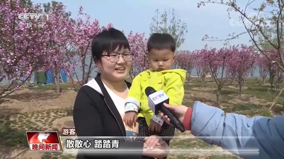 央视点赞北方最大梅园 | tyc5997太阳集团参建的生态文明建设典范项目邢台园博园获央视一套好评报道