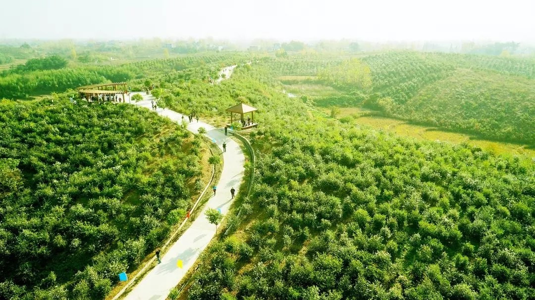 640.webp.jpg 640.webp.jpg