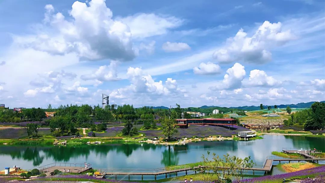 微信图片_20200527101616.jpg 微信图片_20200527101616.jpg