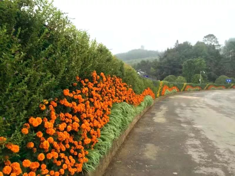 微信图片_20200527101638.jpg 微信图片_20200527101638.jpg