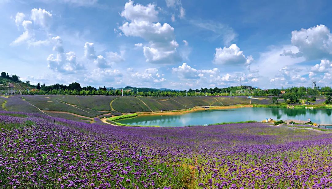 微信图片_20200527101650.jpg 微信图片_20200527101650.jpg