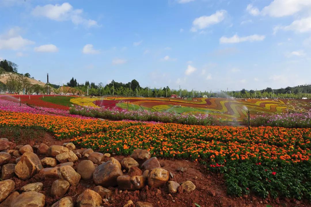 微信图片_20200527101653.jpg 微信图片_20200527101653.jpg