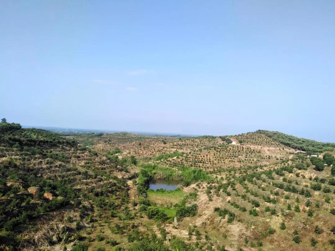 微信图片_20200424135353.jpg 微信图片_20200424135353.jpg