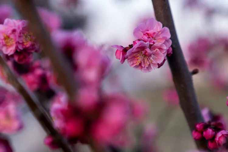 微信图片_20200423145315.jpg 微信图片_20200423145315.jpg