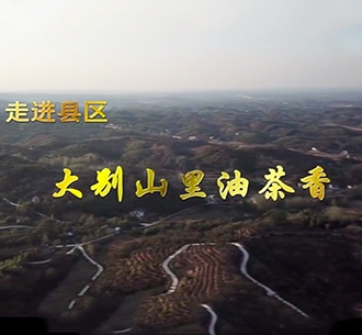   书写脱贫故事  新华社点赞tyc5997太阳集团“油茶扶贫”新模式