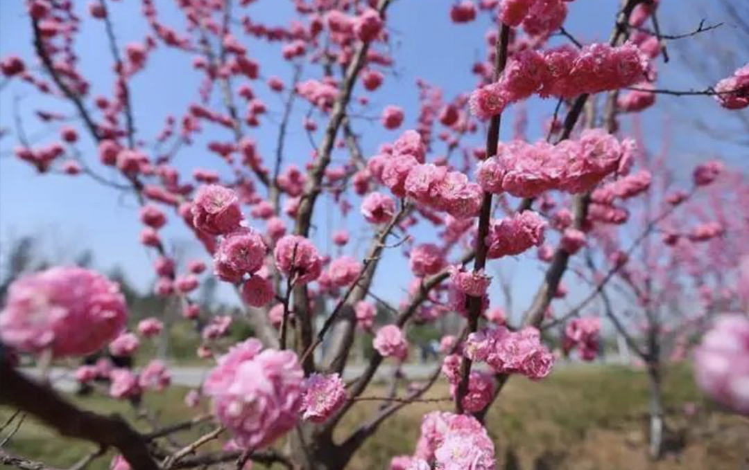 6372643946173770297417055.jpg 6372643946173770297417055.jpg