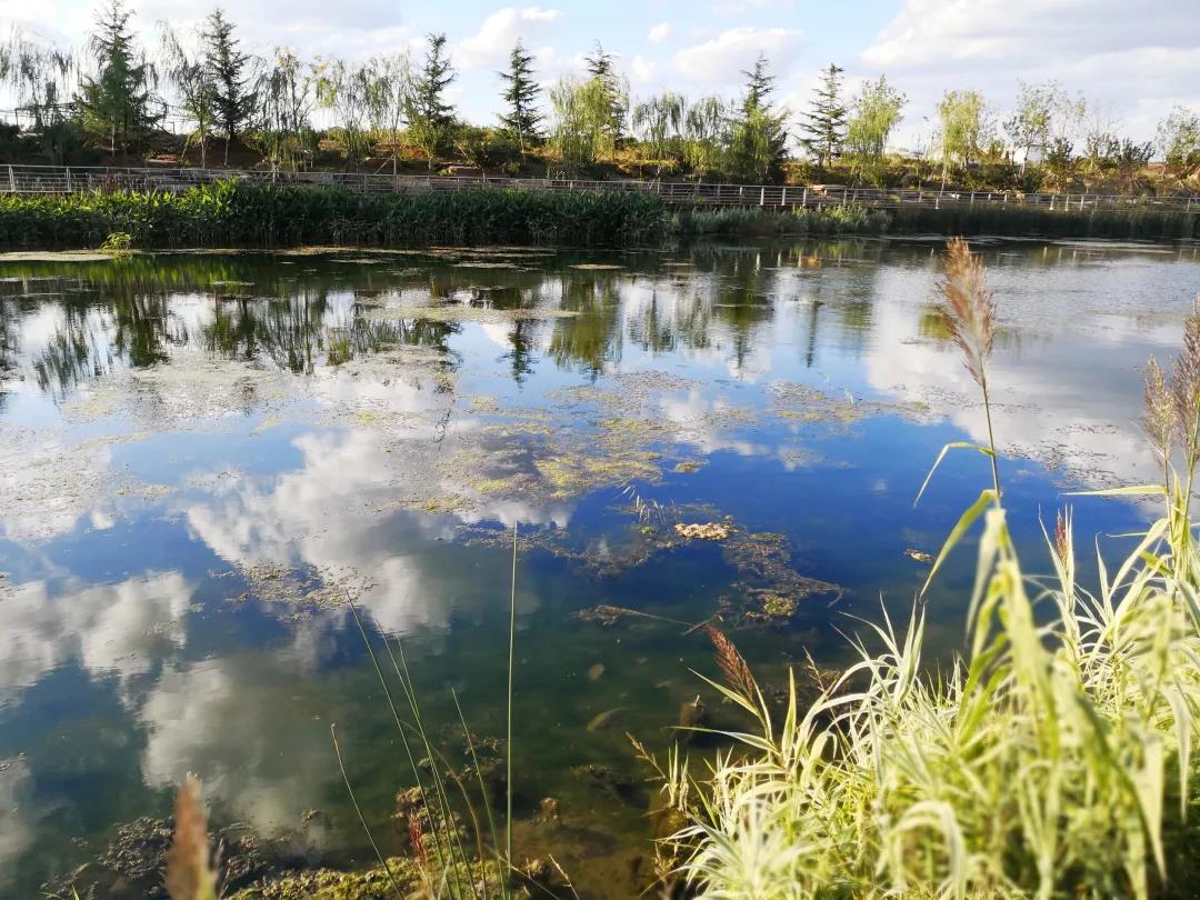 微信图片_20200609150144.jpg 微信图片_20200609150144.jpg