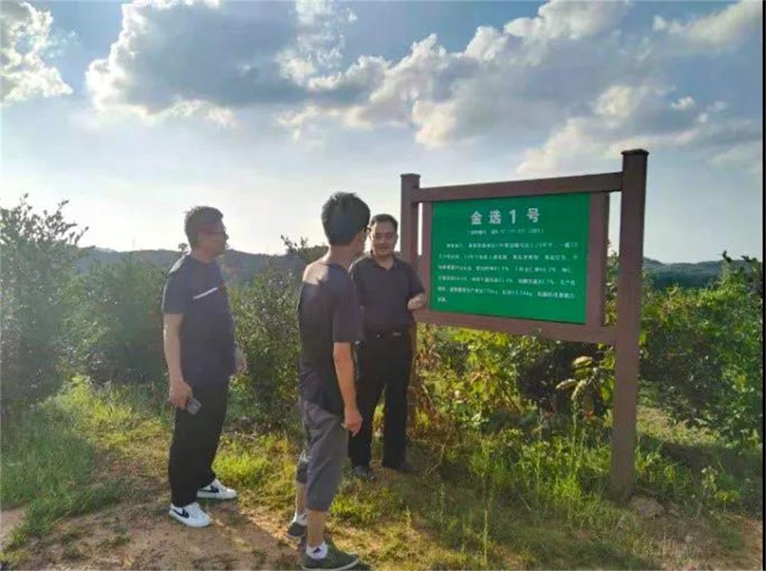 6372643863681514916201771.jpg 6372643863681514916201771.jpg