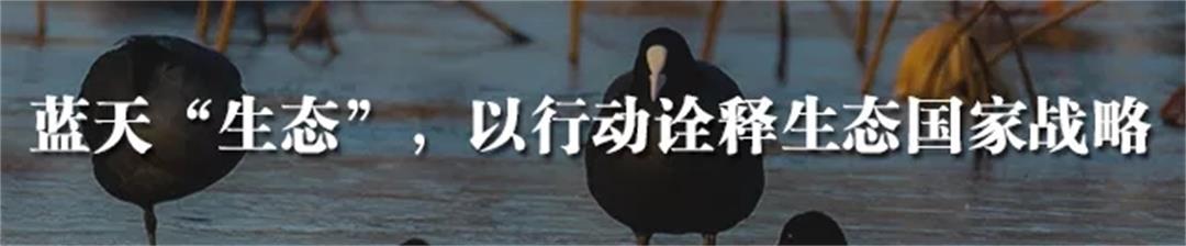 6372642505134259678477768.jpg 6372642505134259678477768.jpg