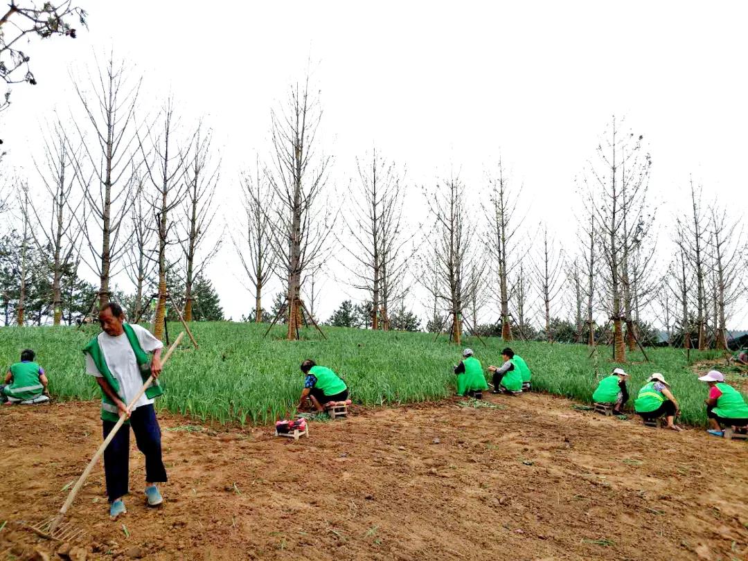 微信图片_20200615164913.jpg 微信图片_20200615164913.jpg