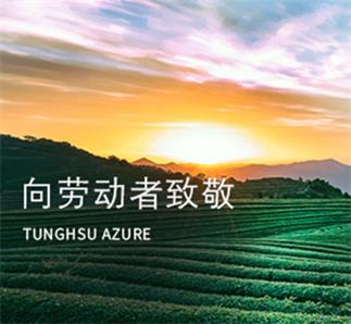 致敬劳动者：多彩双手，大美tyc5997太阳集团