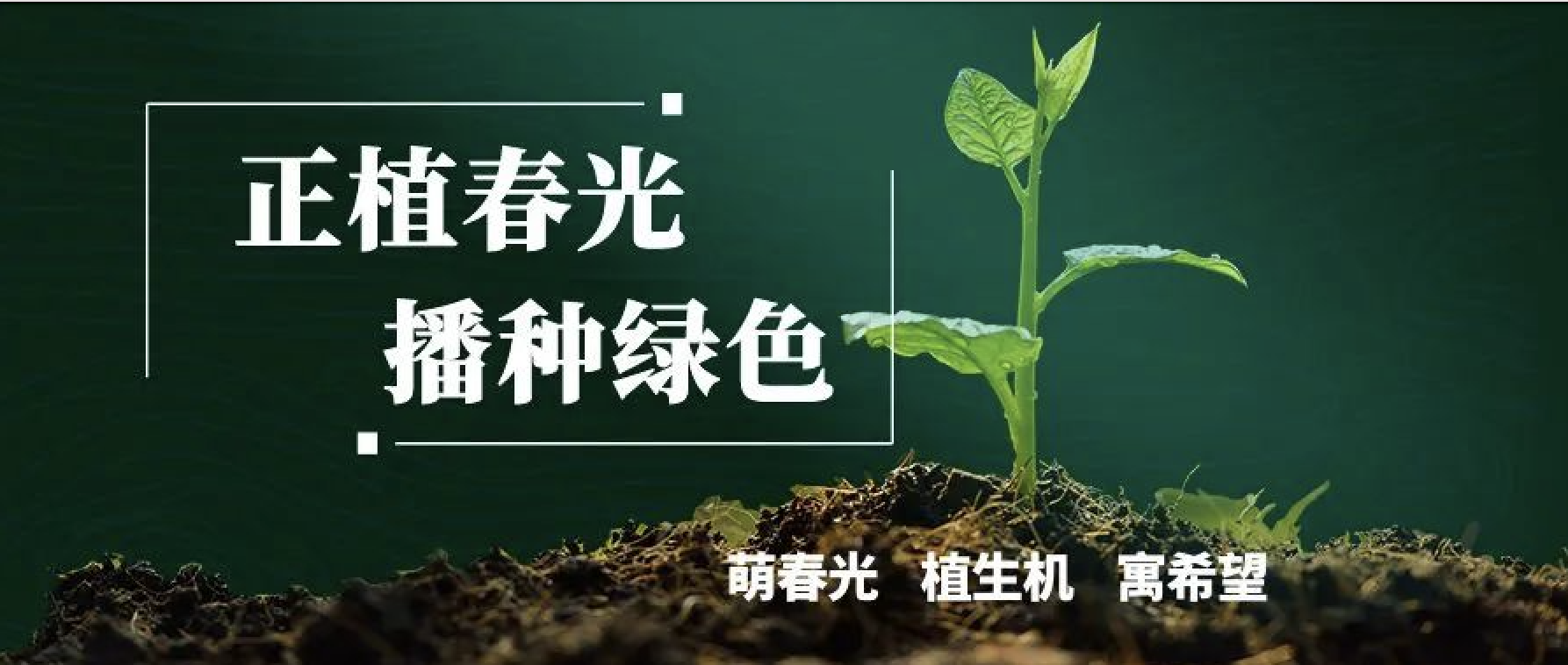 拥抱tyc5997太阳集团，共植美好