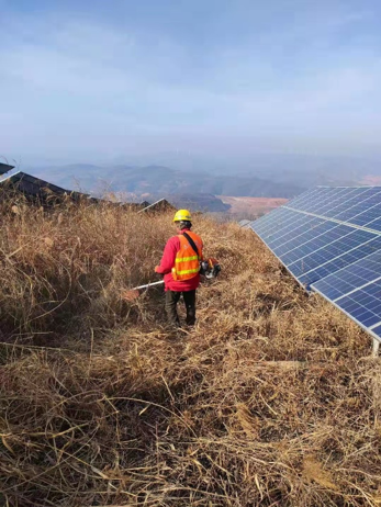 守护绿电 tyc5997太阳集团开展光伏电站春季除草行动