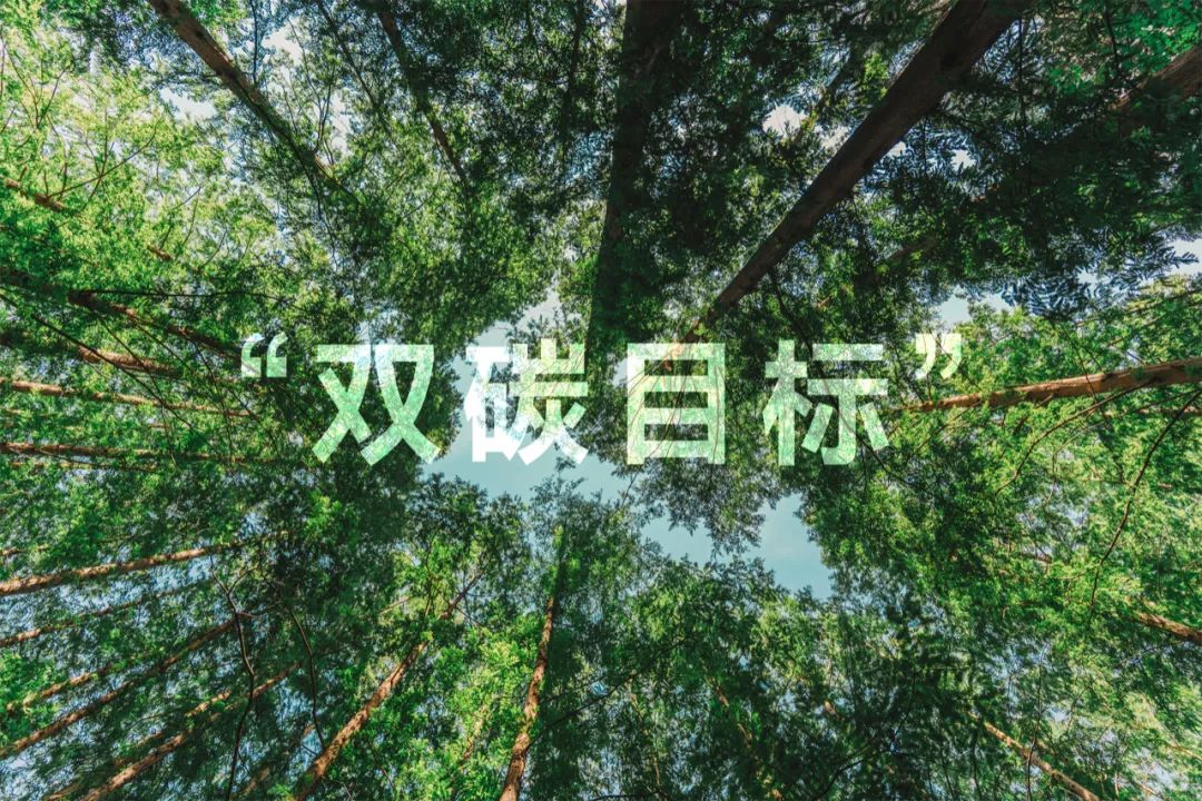 聚焦“双碳”未来 tyc5997太阳集团深化光伏业务战略布局